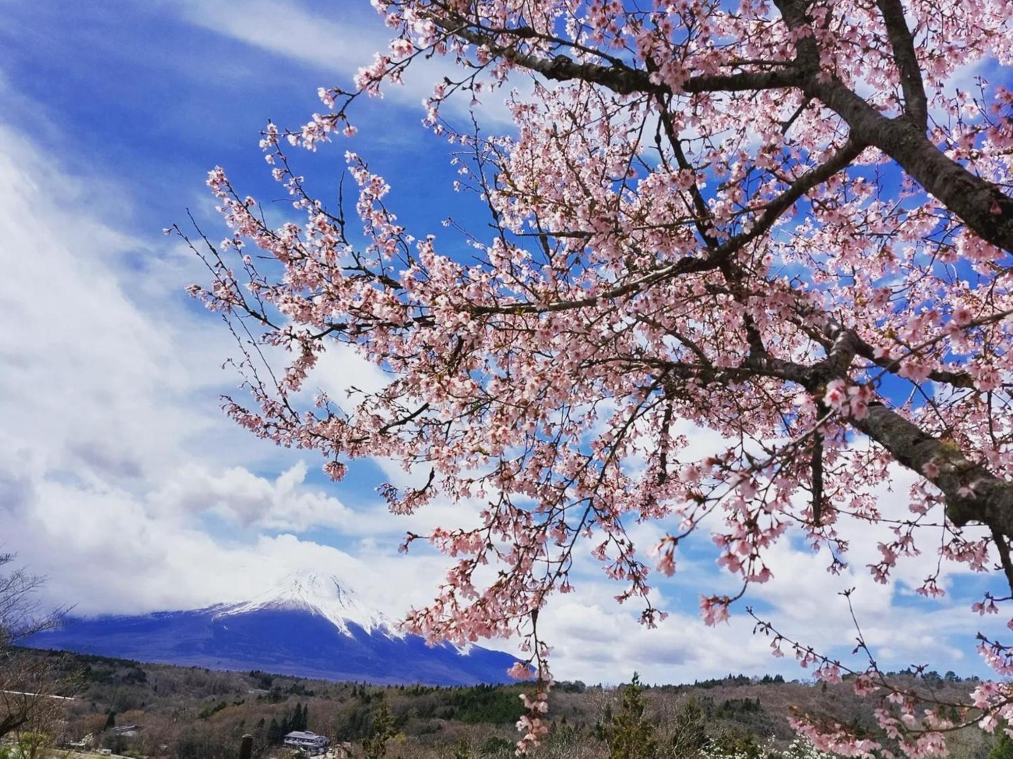 Rokumeikan Hills Яманакако Экстерьер фото